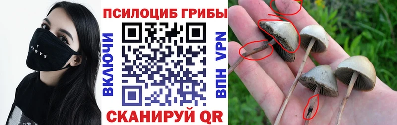 MEGA как зайти  Воткинск  Галлюциногенные грибы GOLDEN TEACHER 
