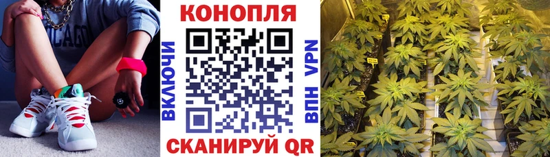 наркошоп  Воткинск  Канабис семена 